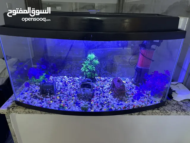 حوض سمك حجم كبير
