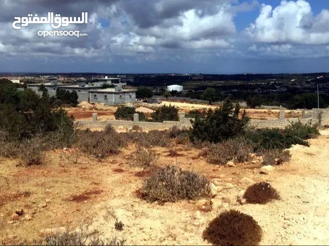 Mixed Use Land for Sale in Jebel Akhdar Cyrene