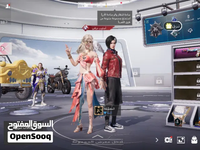 Pubg Accounts and Characters for Sale in Babylon