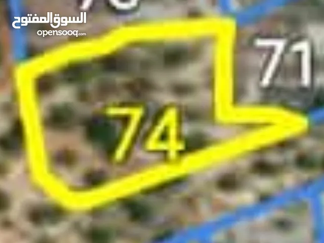 دونم ارض للبيع - بيت ريما