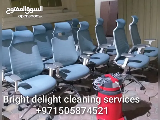 professional deep shampoo cleaning service of the sofa, couch, carpet, mattress, curtains, apartment