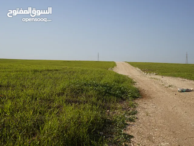 Farm Land for Sale in Irbid University of Science and Technology