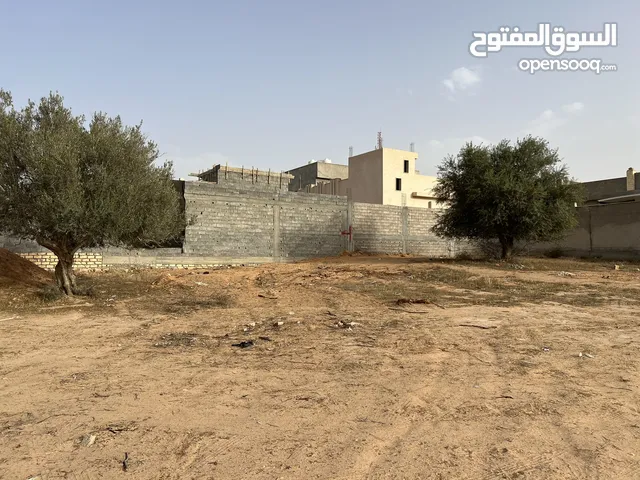 Farm Land for Sale in Tripoli Tajura