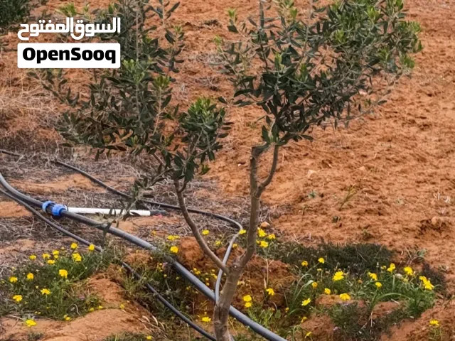 Mixed Use Land for Sale in Al Khums Other