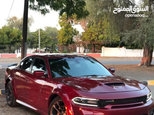 سكات باك 2020