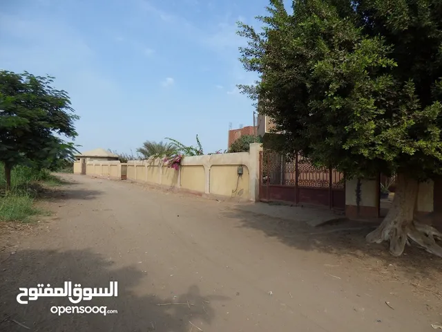 More than 6 bedrooms Farms for Sale in Giza Baragil
