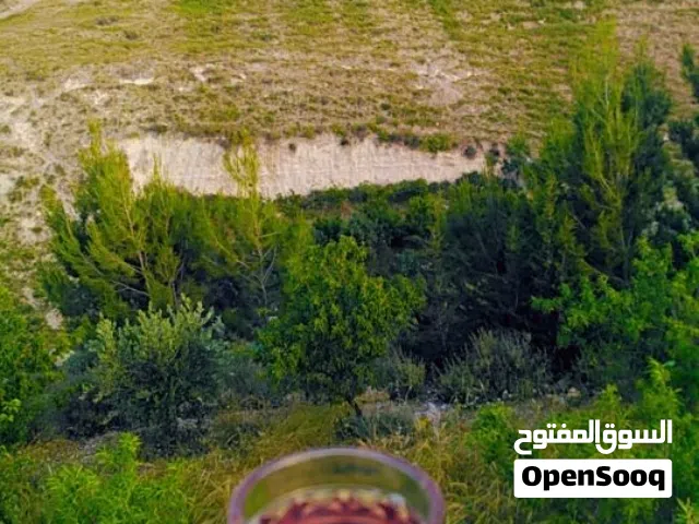 Mixed Use Land for Sale in Irbid Kharja