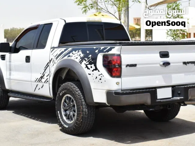 2010 Ford F-150 Raptor