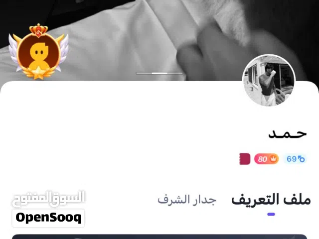 Accounts - Others Accounts and Characters for Sale in Giza