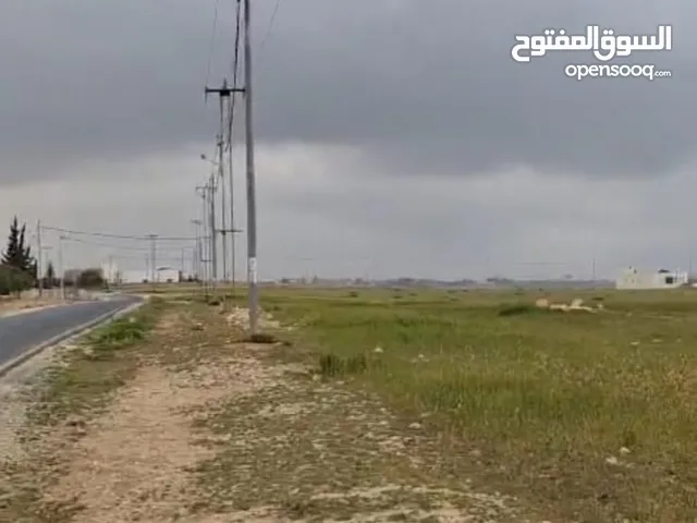 Farm Land for Sale in Amman Umm Al-Rasas