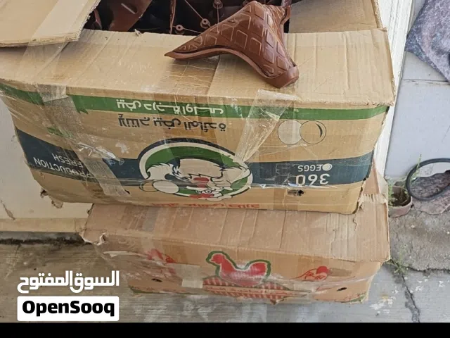 رجل ديوان وقنفات