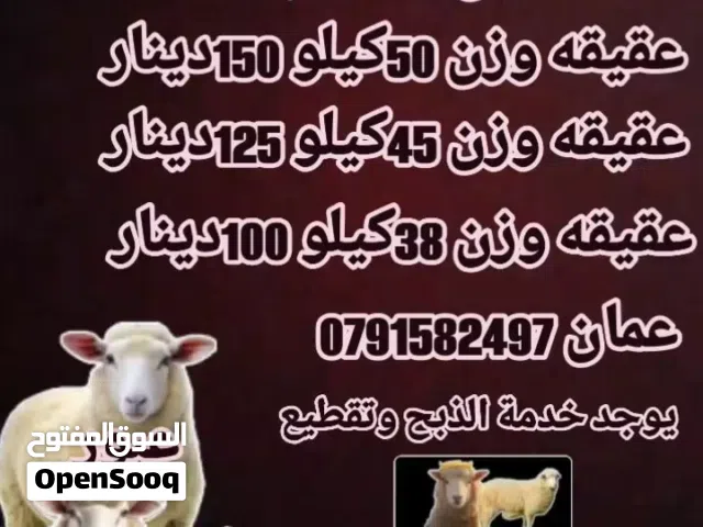 خرفان عقايق ونذور
