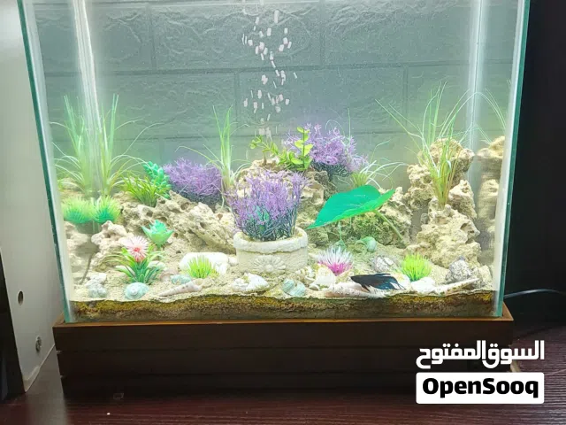 حوض سمك للبيع