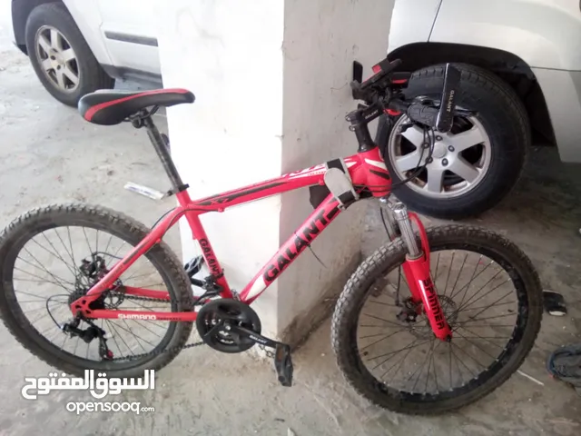 بسكليت اوروبي حالة ممتازة جداً سعر قابل للتفاوض شئ بصيت