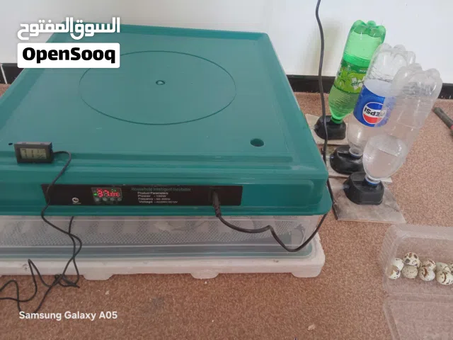 فقاصه تماتيك