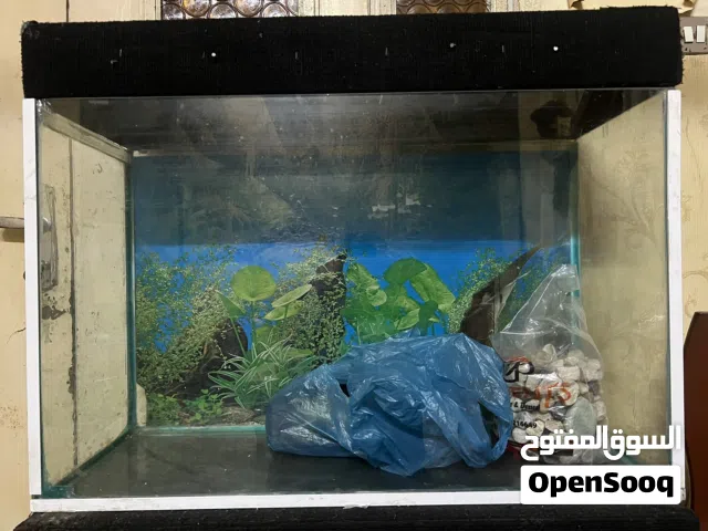 حوض سمك عرض 80 ارتفاع 40 عمق 30 ، مع كامل افراضه طاولة والحجار وفلتر