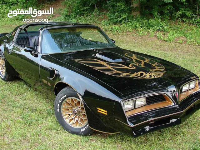 مطلوب سيارات كلاسيك للبيع " ترانس ام ، دودج جي ام سي مرخصه او من دون