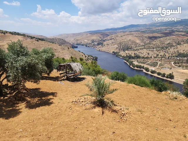 Farm Land for Sale in Jerash Al-Mastaba