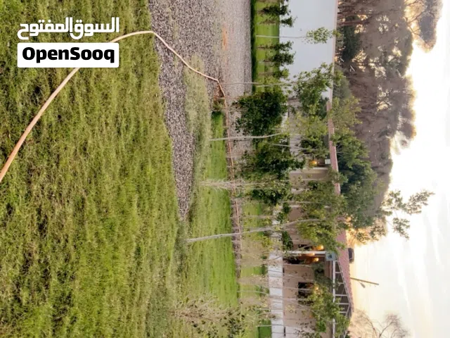 1 Bedroom Chalet for Rent in Tripoli Tajura