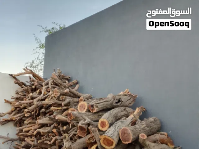 حطب بياض الوجه  تريب غمارتين فل