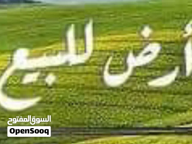 Industrial Land for Sale in Ramallah and Al-Bireh Ein Sinya