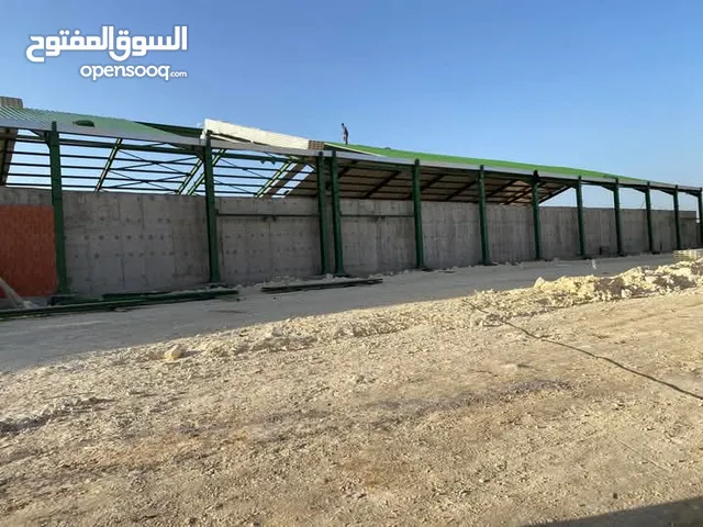 عامل الحام ذو خبرا في مجال الهياكل كبرا