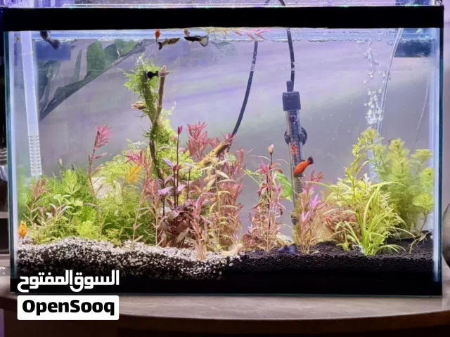 Fish tank for sale