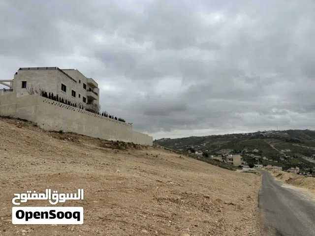 Residential Land for Sale in Zarqa Um Rummanah