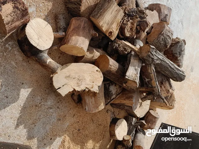 قص الاشجار وتقطيع الاشجار وتقليم الاشجار وتنسيق الحدائق