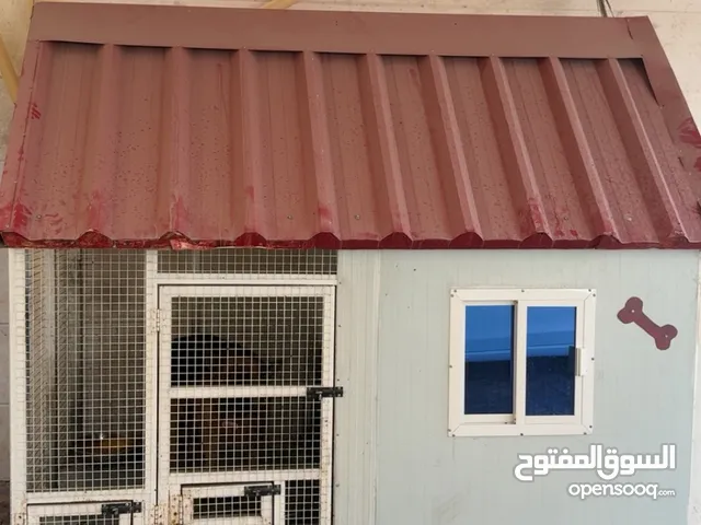 جيرمن لونق هير كنق سايز