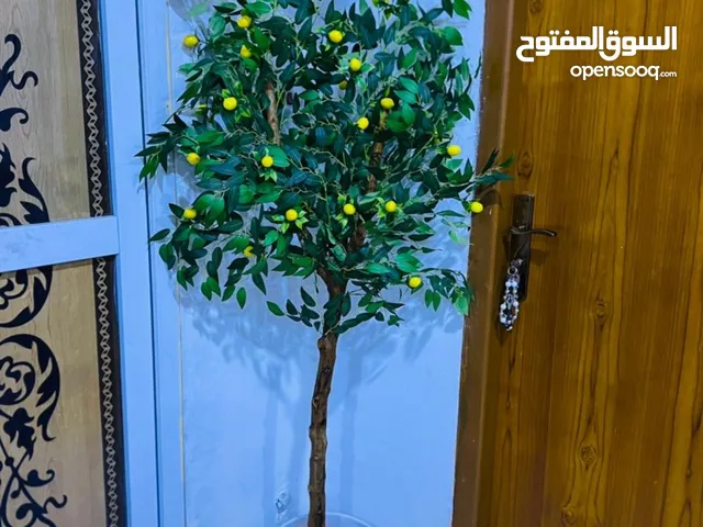 شجره ليمون اصطناعي جديد