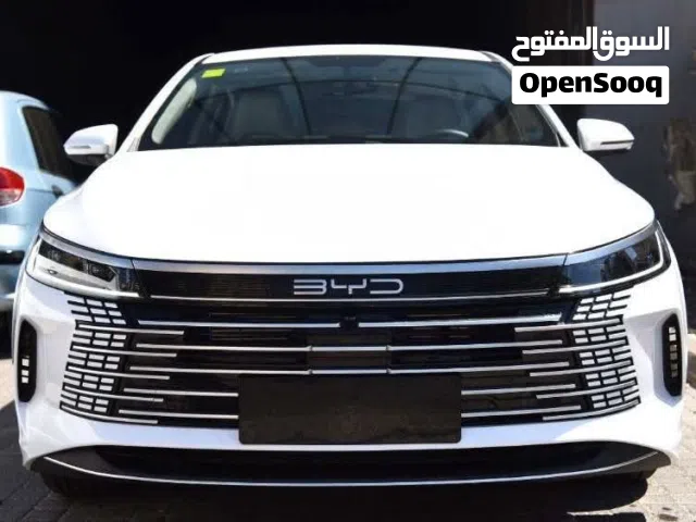 2025 بي واي دي ديستروير