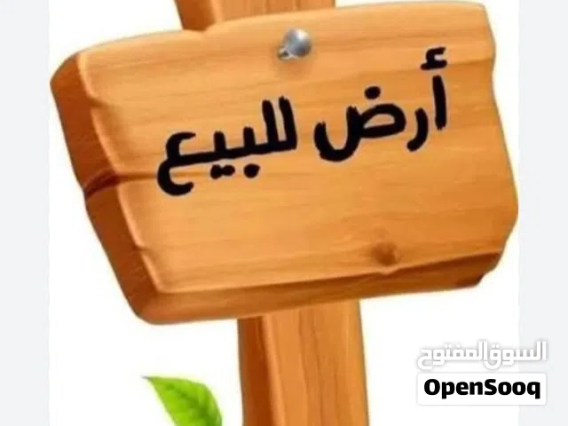 5 هكتارات للبيع في النعم