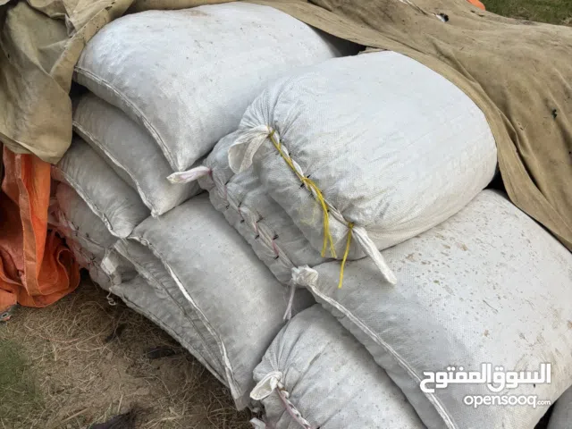 نفيعة للبيع حصاد السنة