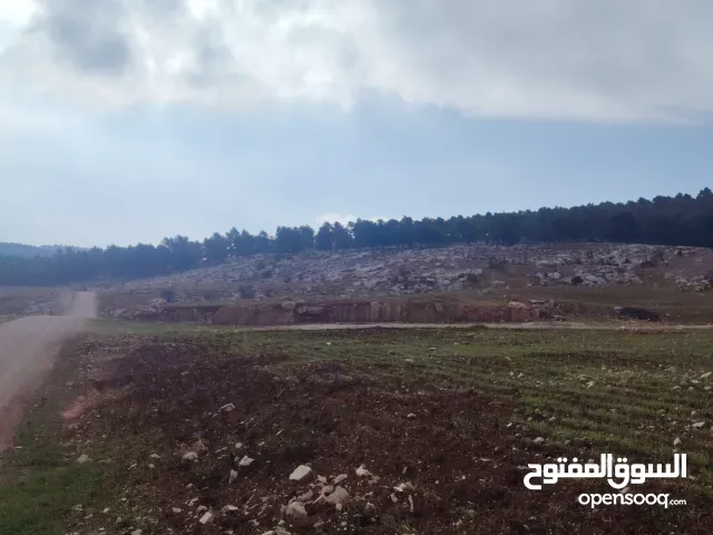 خلف مشروع البداد 3800 م من اراضي ام بطمه منطقه فلل وقصور مقابل مطعم خيل وليل