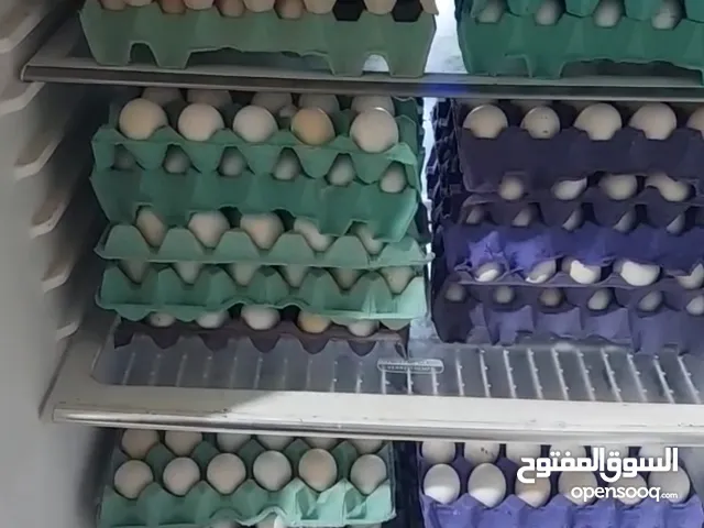 للبيع بيض دجاج زينه مخصب وصوص زينه