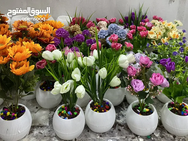 شروة مكرمة و قوار ورد