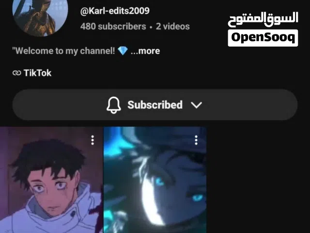 Accounts - Others Accounts and Characters for Sale in Zawiya