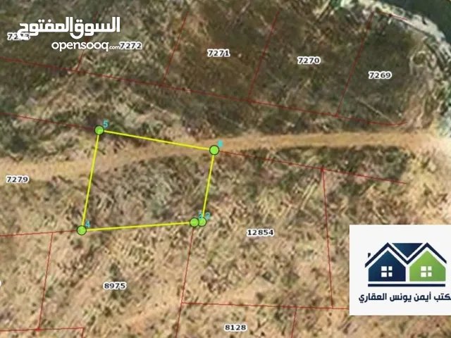 Residential Land for Sale in Zarqa Al Zarqa Al Jadeedeh