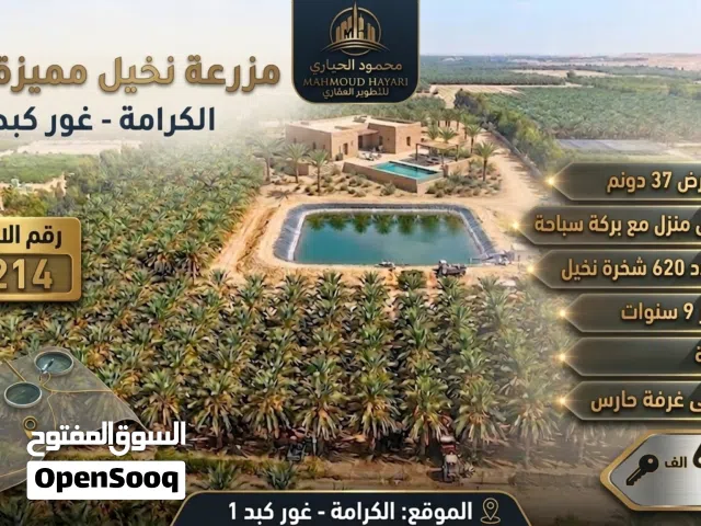 Farm Land for Sale in Salt South Shuna