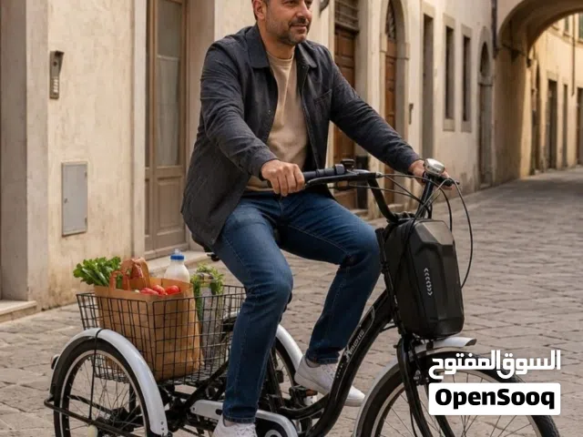 دراجة كهربائية ثلاثيه العجلات ودع زحام وكسب راحتك في هاذ صيف وفكرة دير بها مشروع تخدم عليك