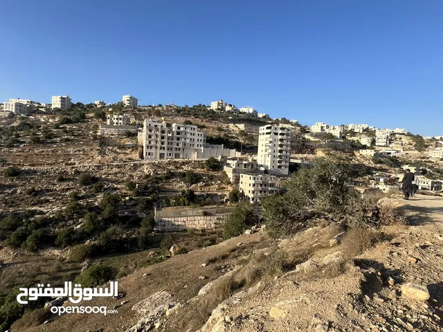 ارض واد الزرزير