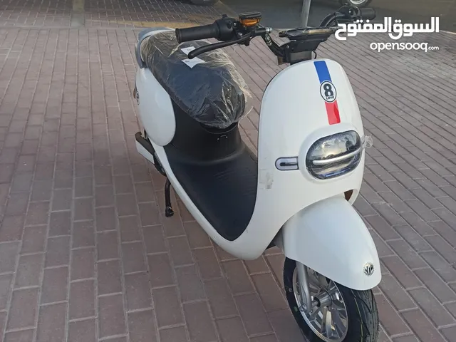 electric motorcycle motor scooter drift car buggy