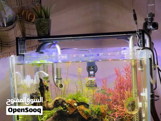 حوض كريستال اصلي للبيع فقط