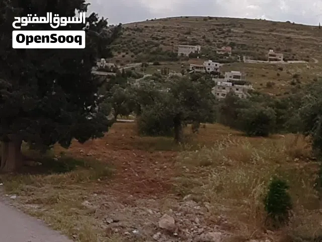 Residential Land for Sale in Zarqa Um Rummanah