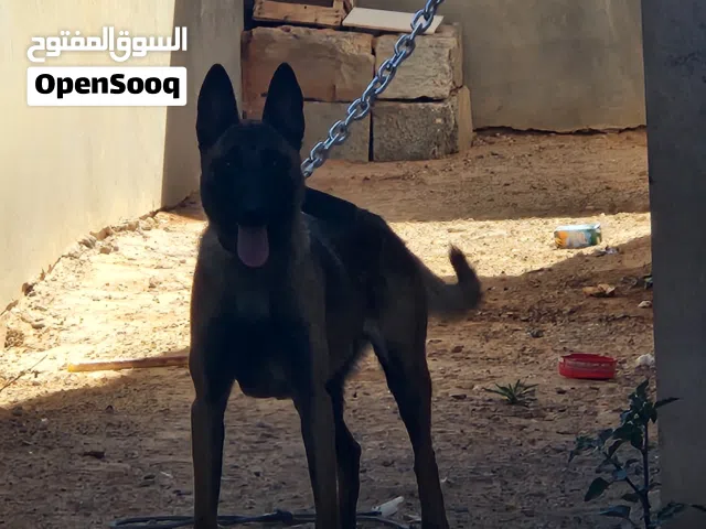 انتي الله يبارك