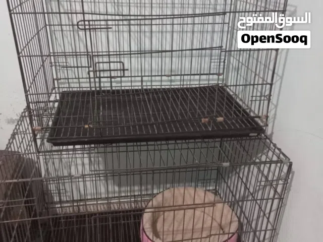 قفصين قطط  شوف الوصف