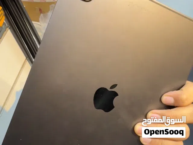 I PAD PRO 11” M4 256 GB