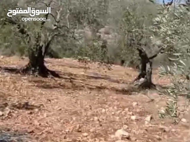 ارض للبيع في كفر نعمه واصل كل الخدمات مساحه 380متر اللبيناء عليهآ 170 متر