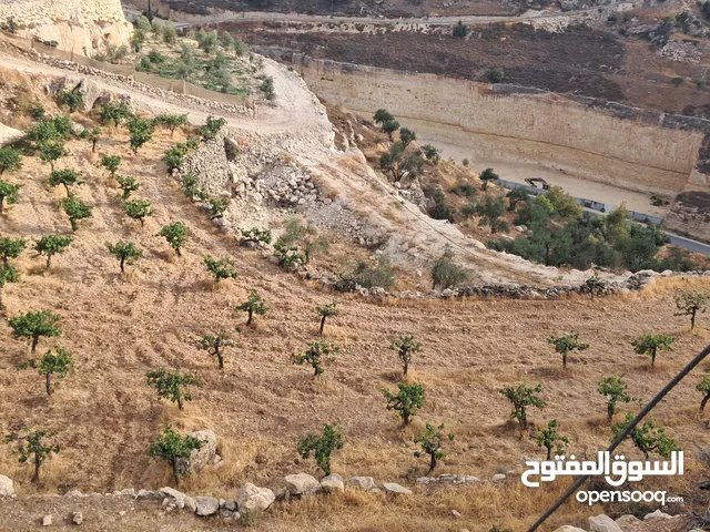 أرض في بيت كاحل مطلة على شارع واد القف